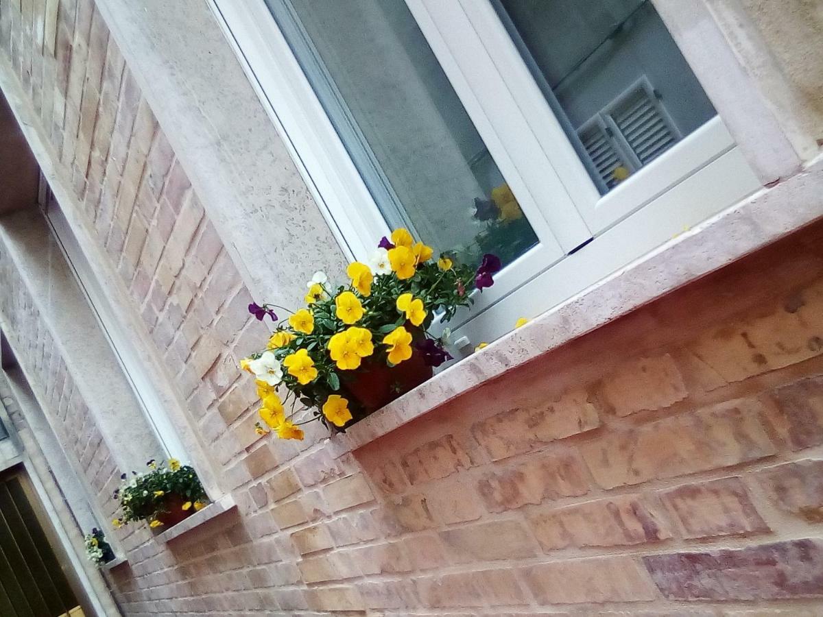 Bed and Breakfast Officina Urban Sleep San Benedetto del Tronto Exteriér fotografie